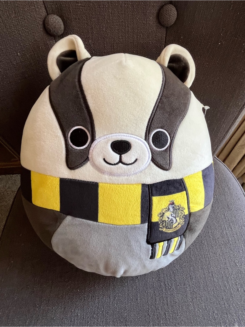 Warner Bros. Plush Raccoon Cushion in Yellow, Gray & Cream
